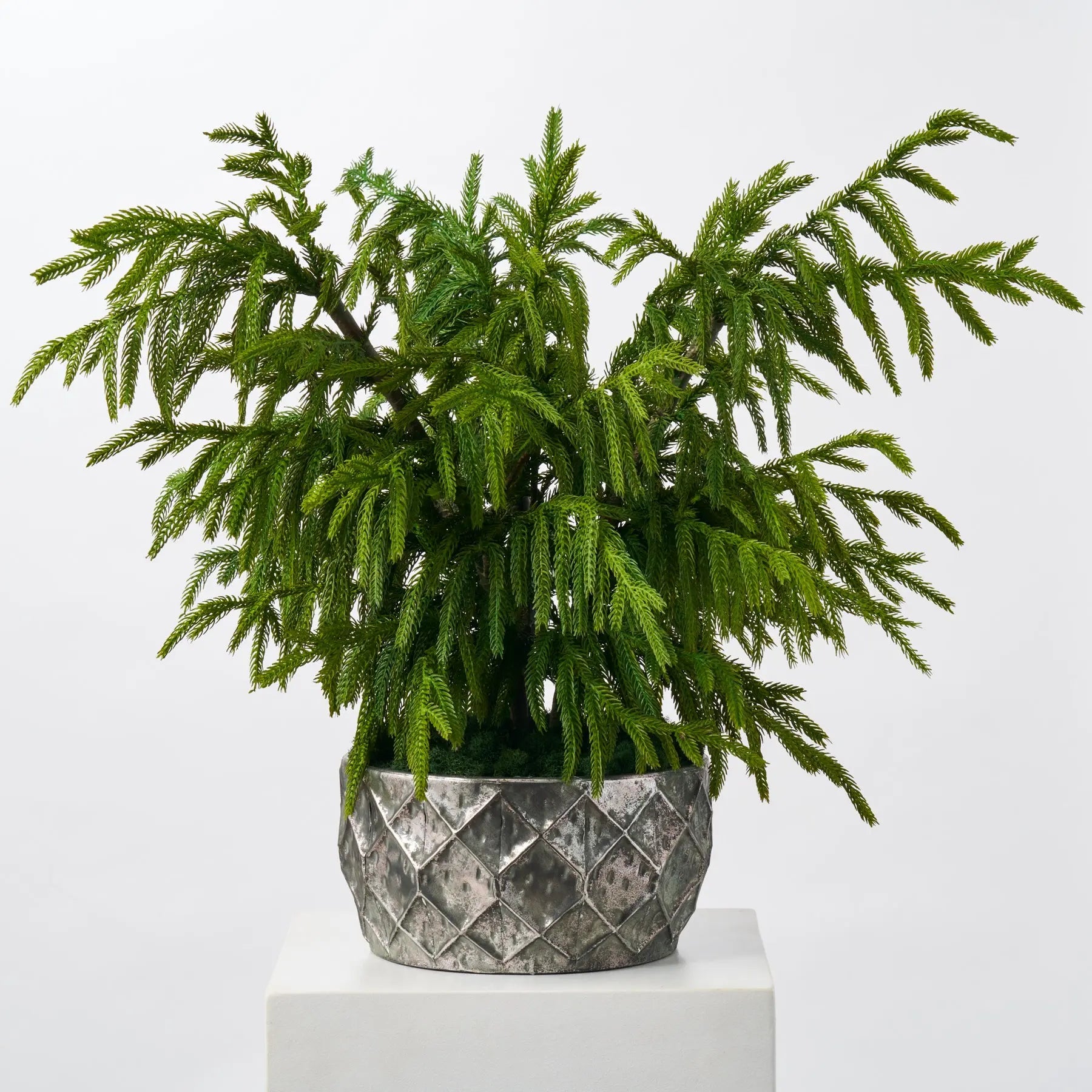 faux potted plants large Real Touch Norfolk Tree Faux Potted Plant in Galvanized Bowl Large – Darby Creek Trading