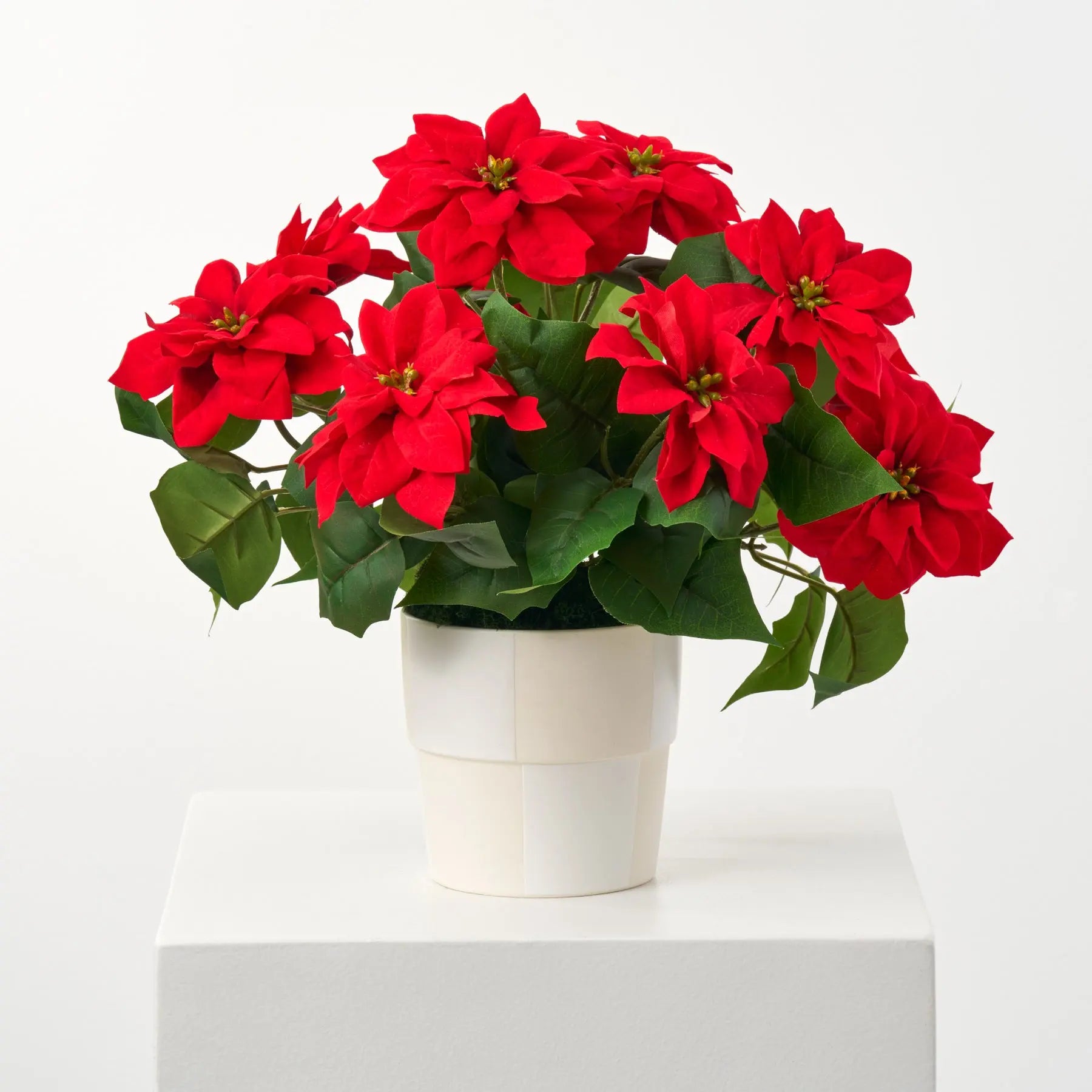 poinsettia plant pot Lifelike Mini Red Poinsettia Faux Plant Bush in Checkered Cream White – Darby Creek Trading