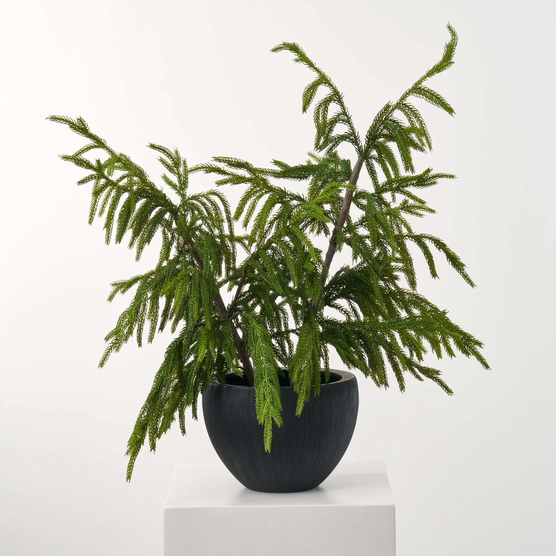 plant pots for topiary trees Real Touch Norfolk Topiary Tree in Black Textured Planter Pot Winter – Darby Creek Trading