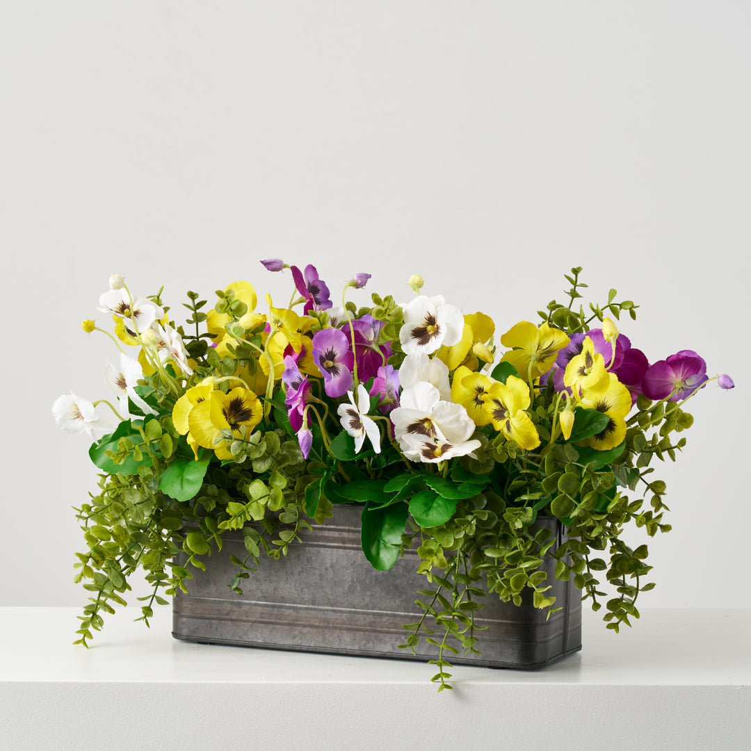 Medium Mixed Yellow, White Purple Pansy Blooms with Eucalyptus