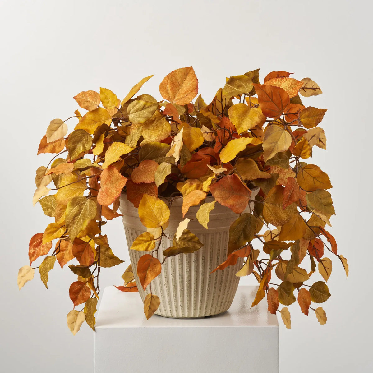 Mixed Gold, Rust & Fall Green Aspen Leaf Foliage in Medium Pot Drop in ...