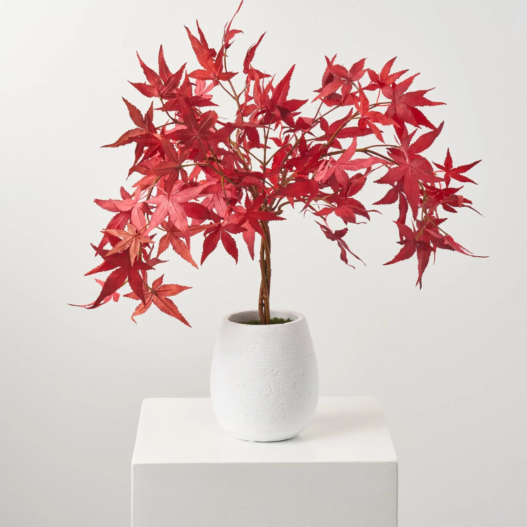 bonsai tree arrangements Faux Japanese Maple Bonsai Style Topiary Potted Tree Everyday Plant – Darby Creek Trading