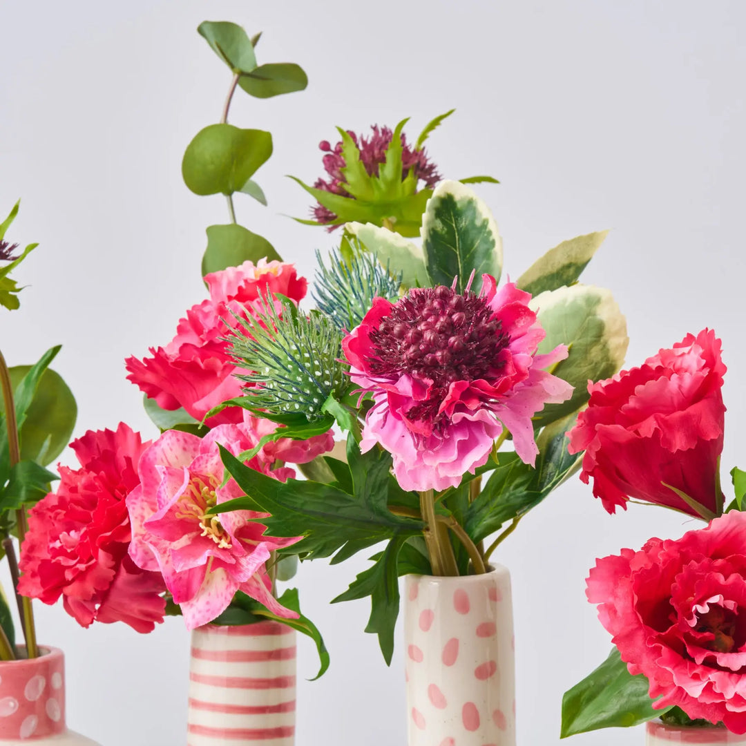 lisianthus indoor plant A Little XOXO