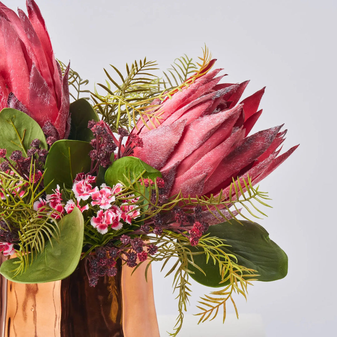 protea plant in pot Enchanted Hearts