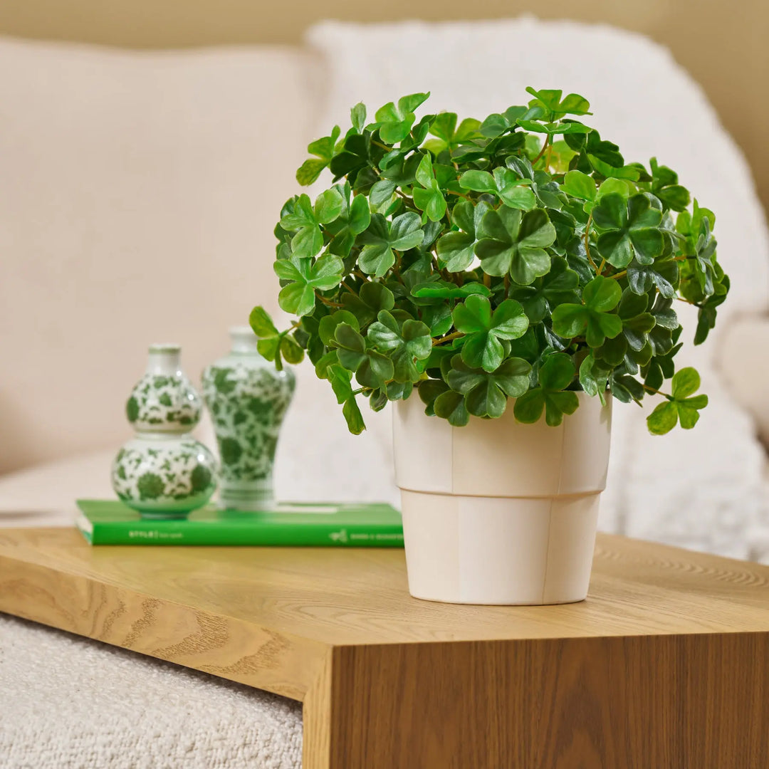 shamrock plant pot A Bit of Luck