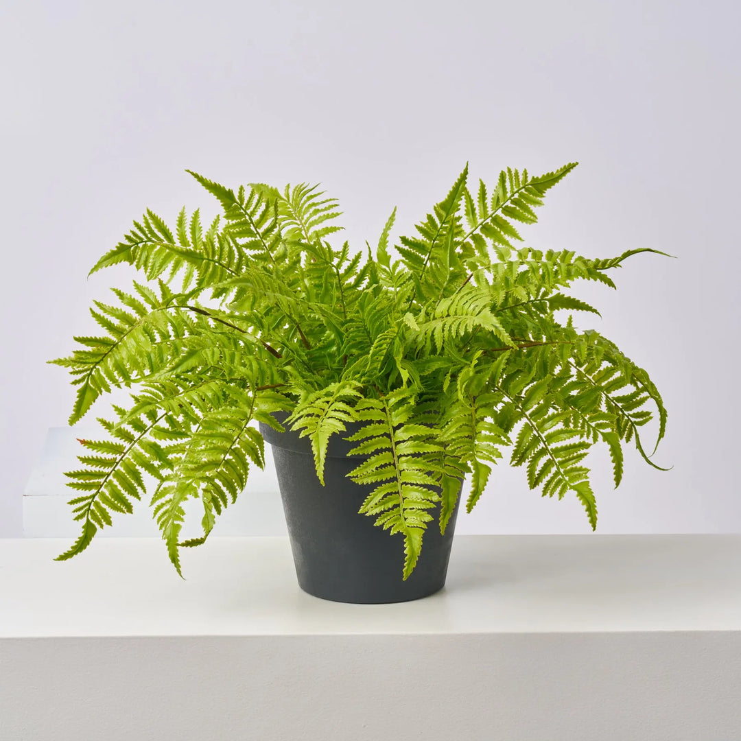 indoor plant pot filler Faux Boston Fern Outdoor Urn Filler Spring Everyday Arrangement
