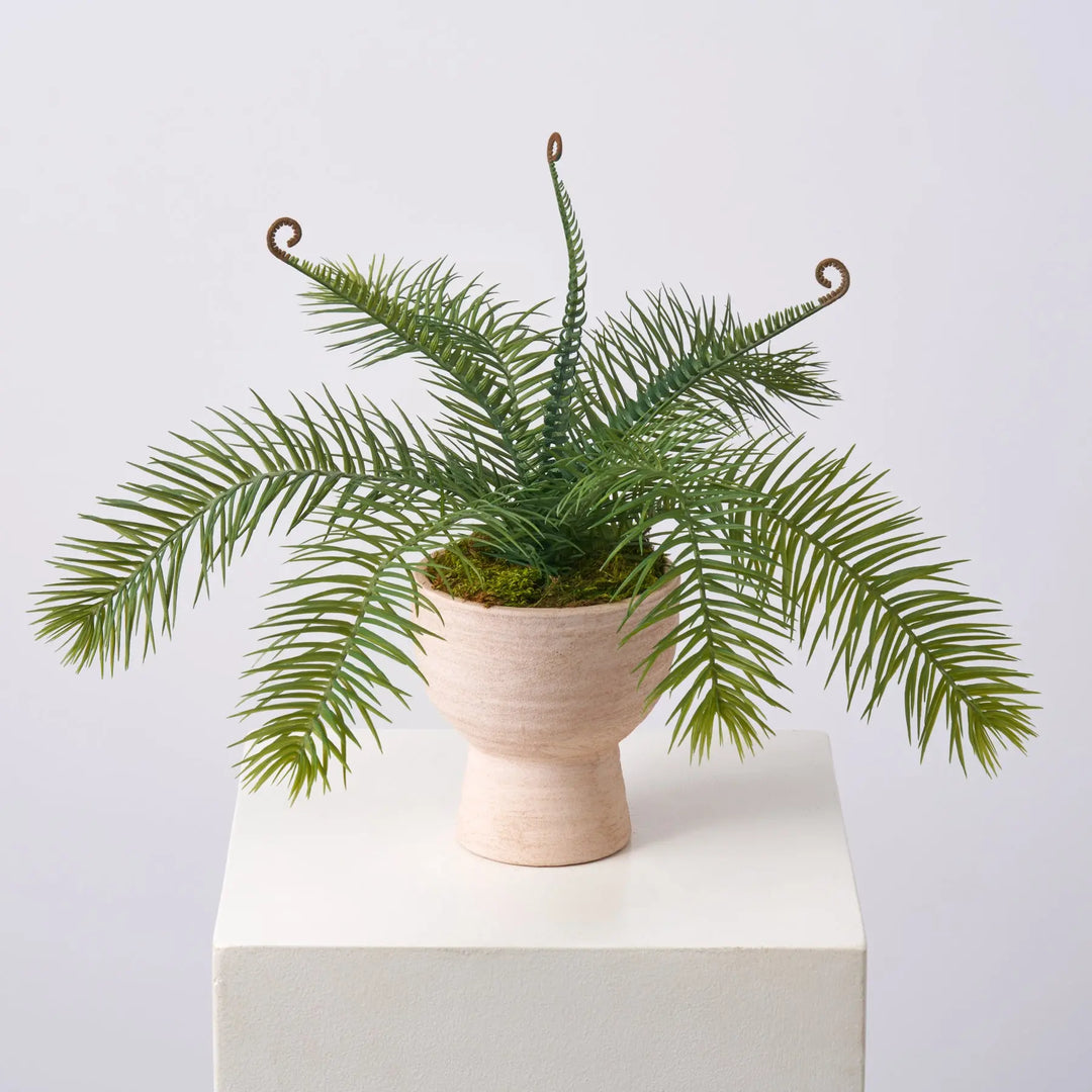 artificial fern plant in pot Faux Cycas Fern in Terracotta Pot Everyday Greenery Arrangement |Darby – Darby Creek Trading