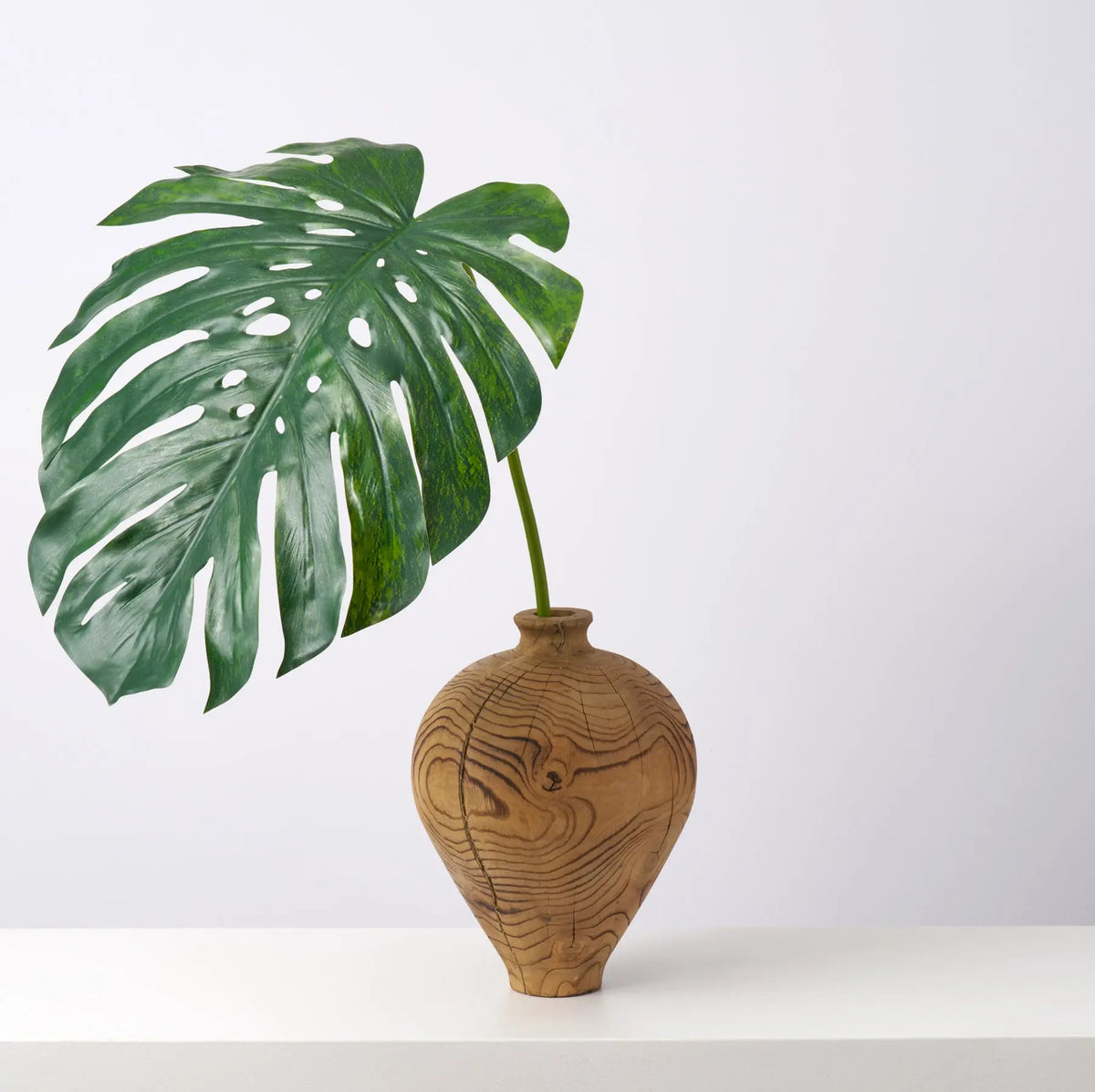 Giant Monstera Leaf Arrangement in Natural Wood Bulbous Vase | Darby ...