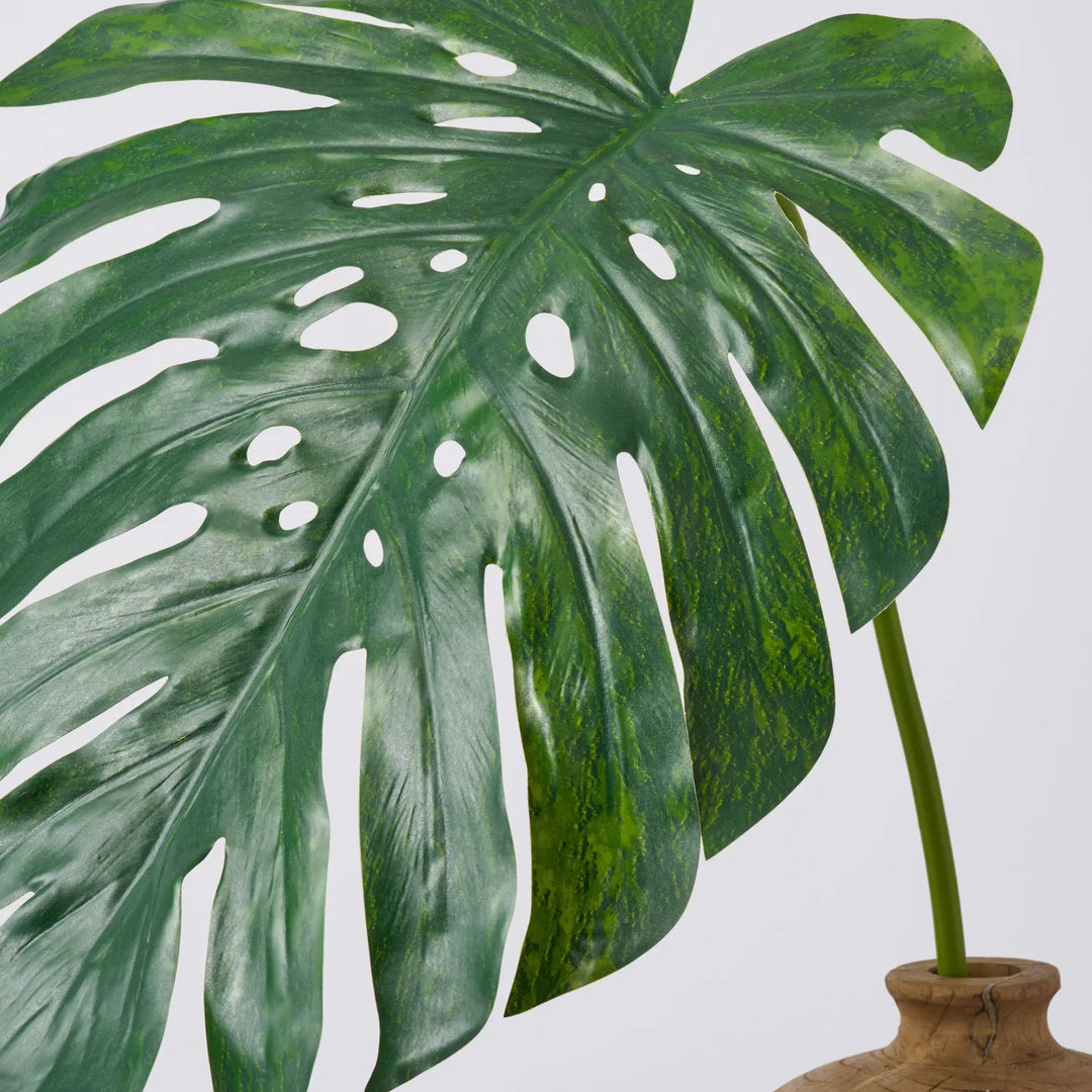 Giant Lifelike Monstera Leaf with Natural Turned Natural Wood Bulbous Vase  Everyday Spring Arrangement