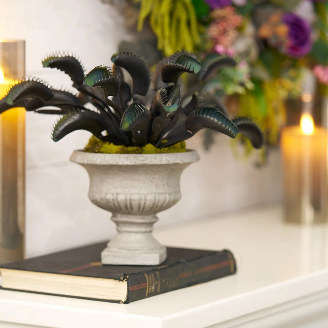 Venus Fly Trap Faux Plant in Stoneware Urn Halloween Arrangement