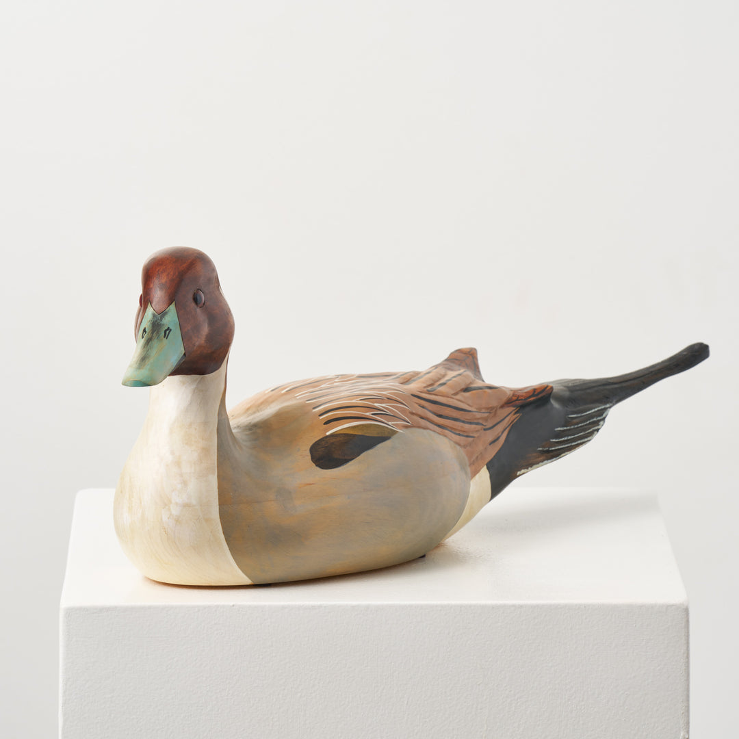 Hand Carved Pintail Duck Decoy - Premier Wooden Waterfowl – Darby