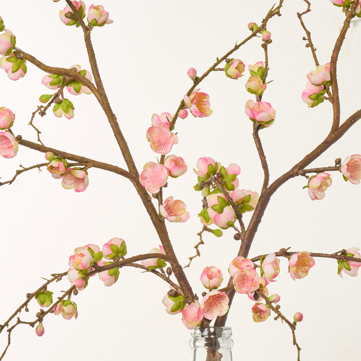 Lifelike Flowering Pink Cherry Blossom Branches in Jug Vase Everyday S