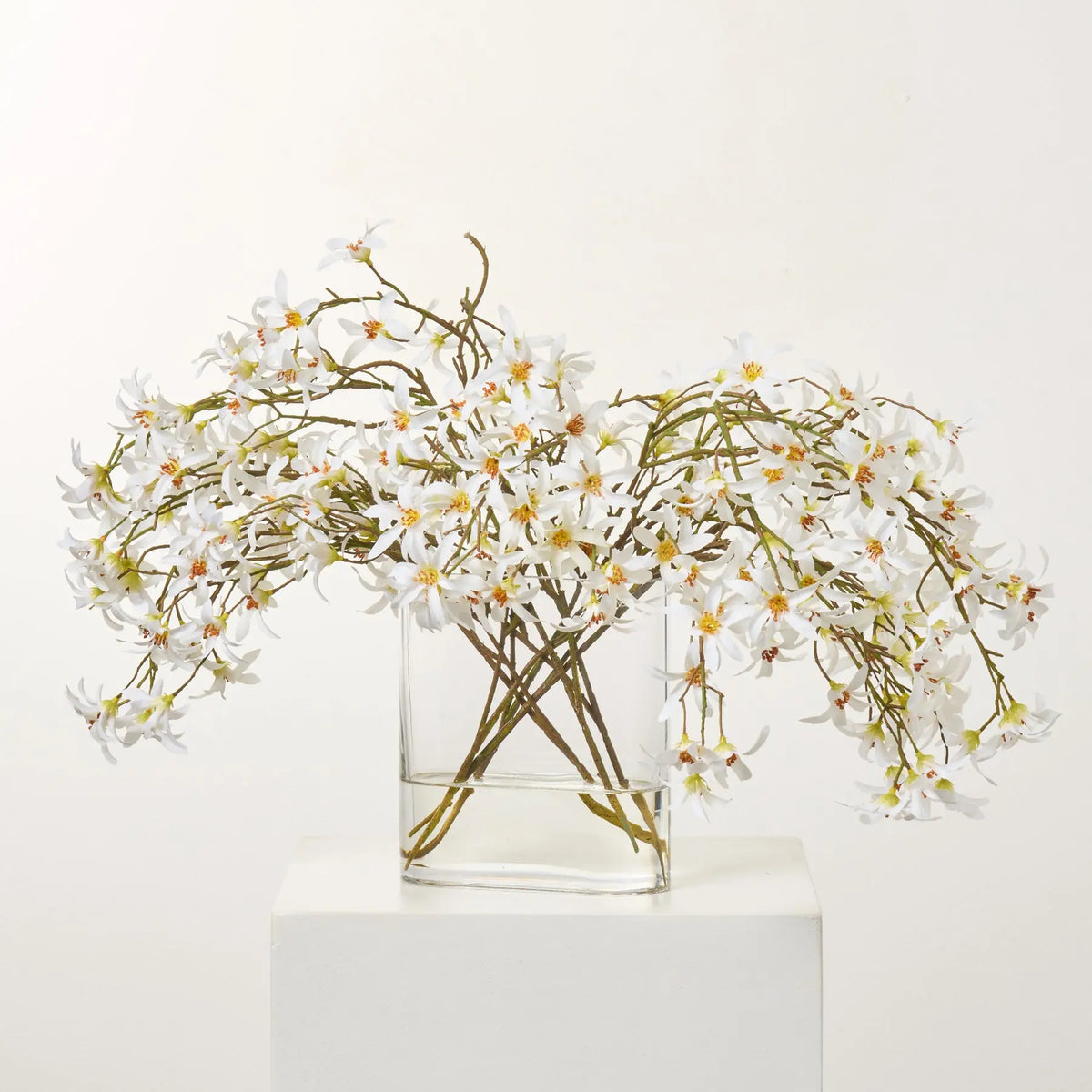 White Forsythia Bloom Branches in Oval Pocket Vase Everyday Spring ...
