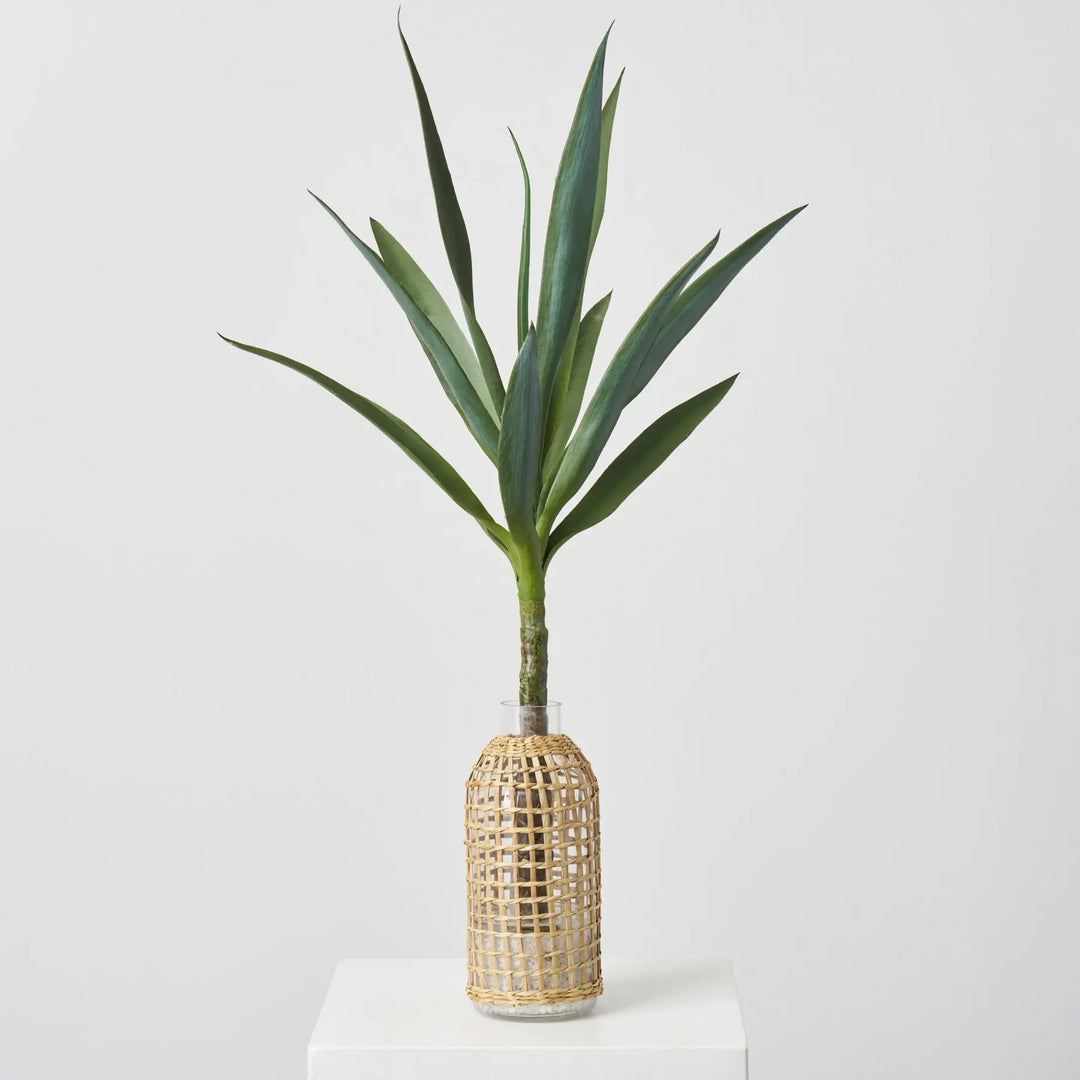 indoor plant pot for yucca Lifelike Desert Yucca Plant in Rattan Wrapped Bottle Vase Everyday – Darby Creek Trading