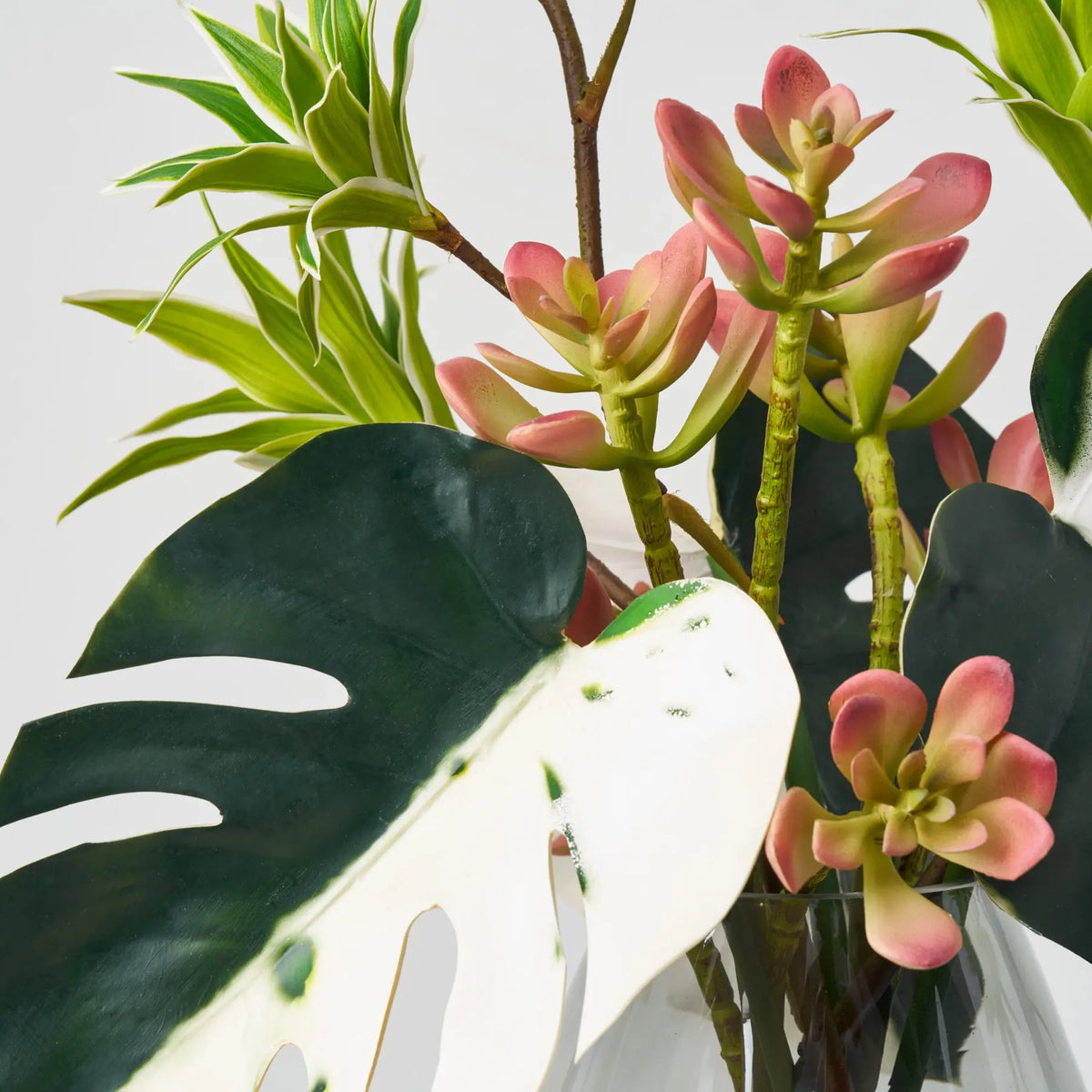 Tropical Muse - Green Albino Monstera Leaf, Dracaena & Succulent in Sm ...