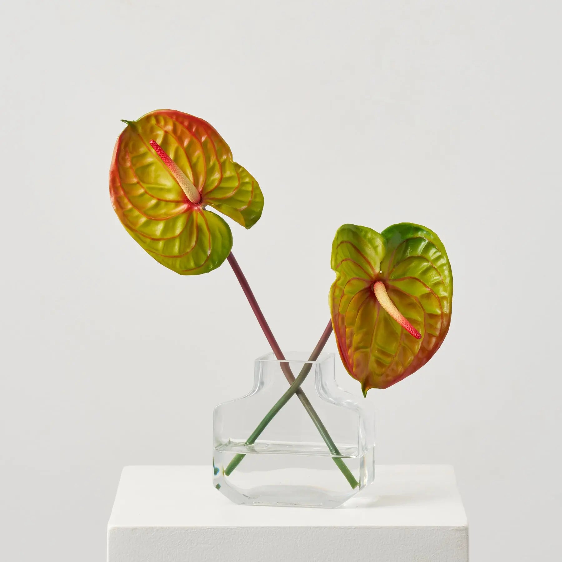 anthurium in water vase Real Touch Tropical Anthurium Stem in Factice Vase Summer Water – Darby Creek Trading