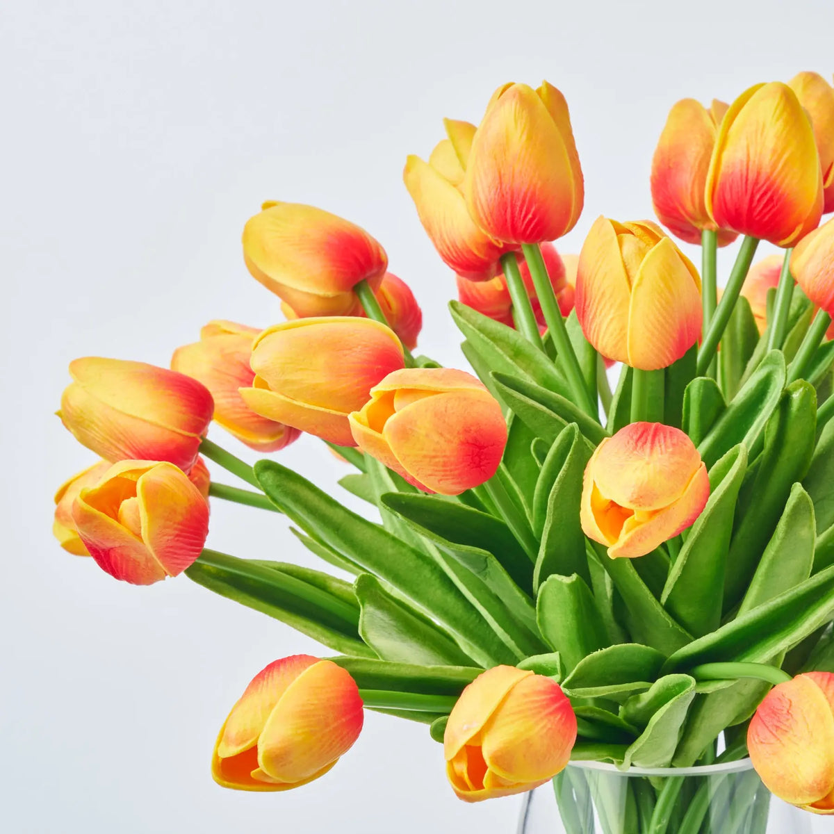 Lifelike Real Touch Two Tone Orange Mini Tulip Blooms in Pyramid Vase ...