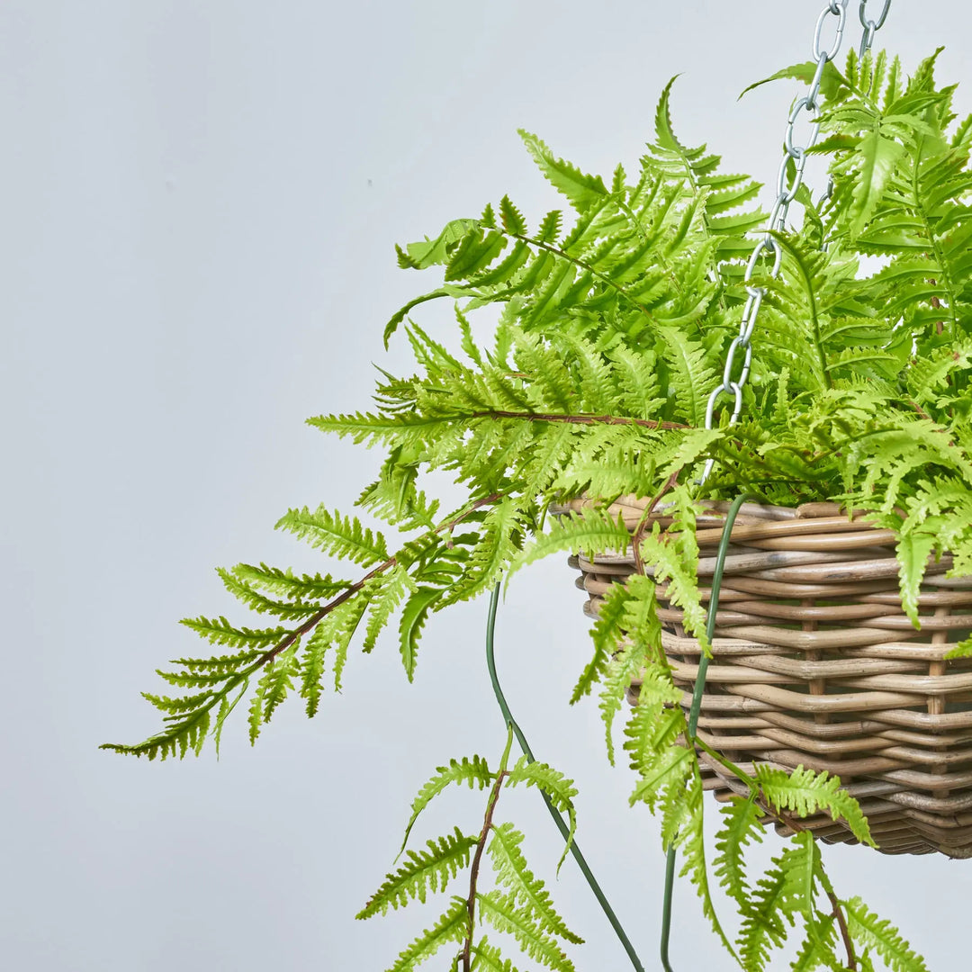 All Seasons Boston Fern Hanging Basket Everyday Faux Greenery