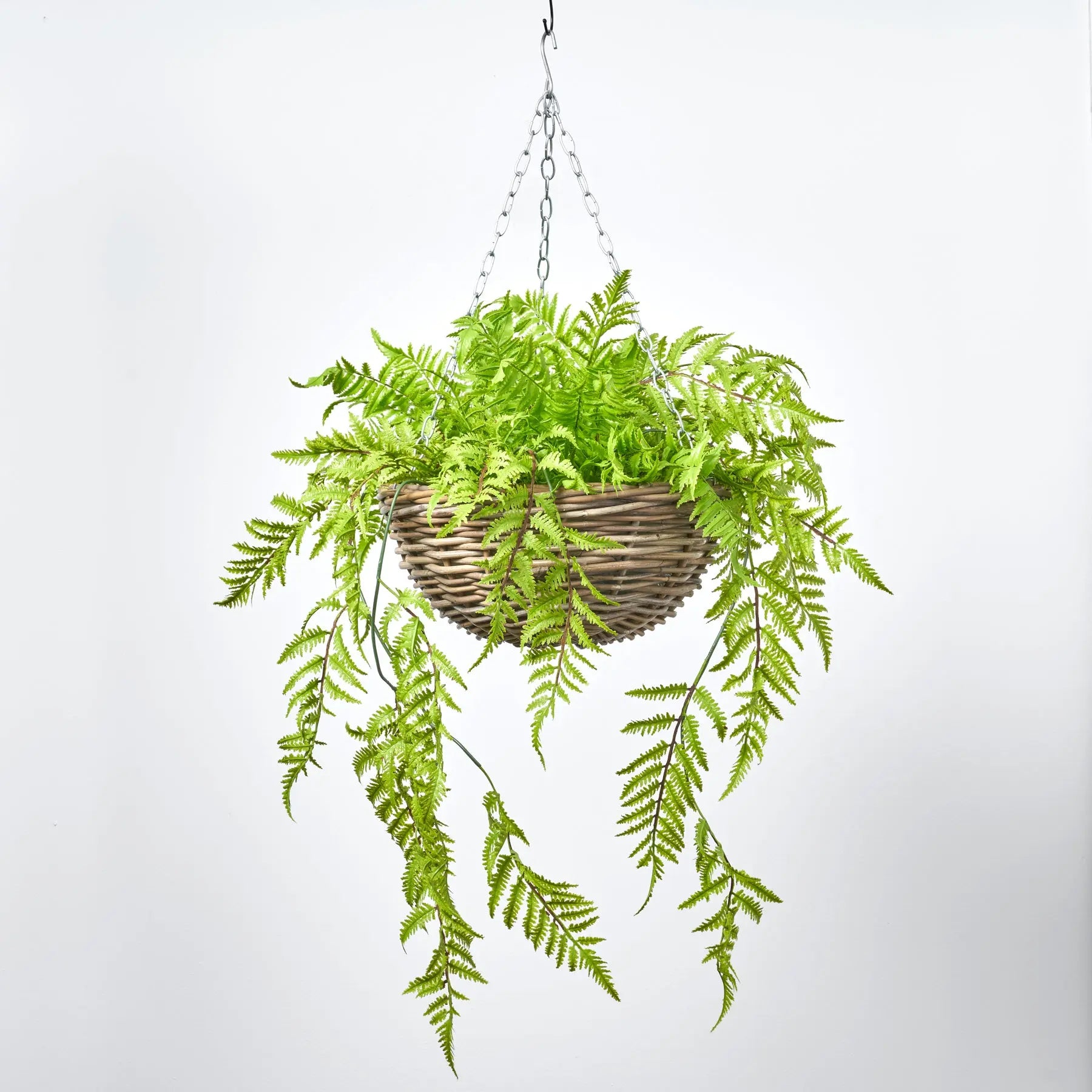 planting ferns in hanging baskets All Seasons Boston Fern Hanging Basket Everyday Faux Greenery