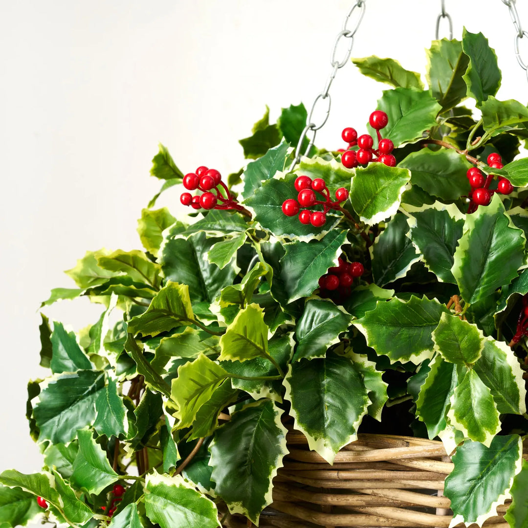 artificial hanging christmas plants Variegated Green Holly Leaf & Red Berry Vine Christmas Hanging Basket –  Darby Creek Trading