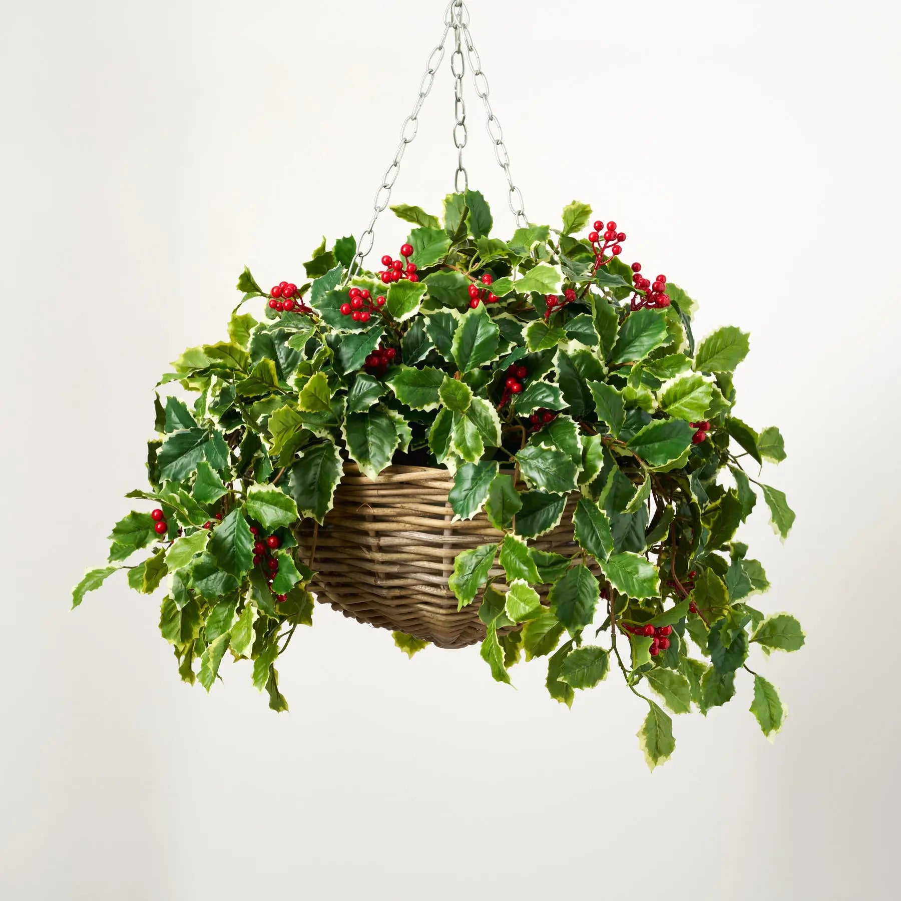 vine plants for hanging baskets Variegated Green Holly Leaf & Red Berry Vine Christmas Hanging Basket – Darby Creek Trading