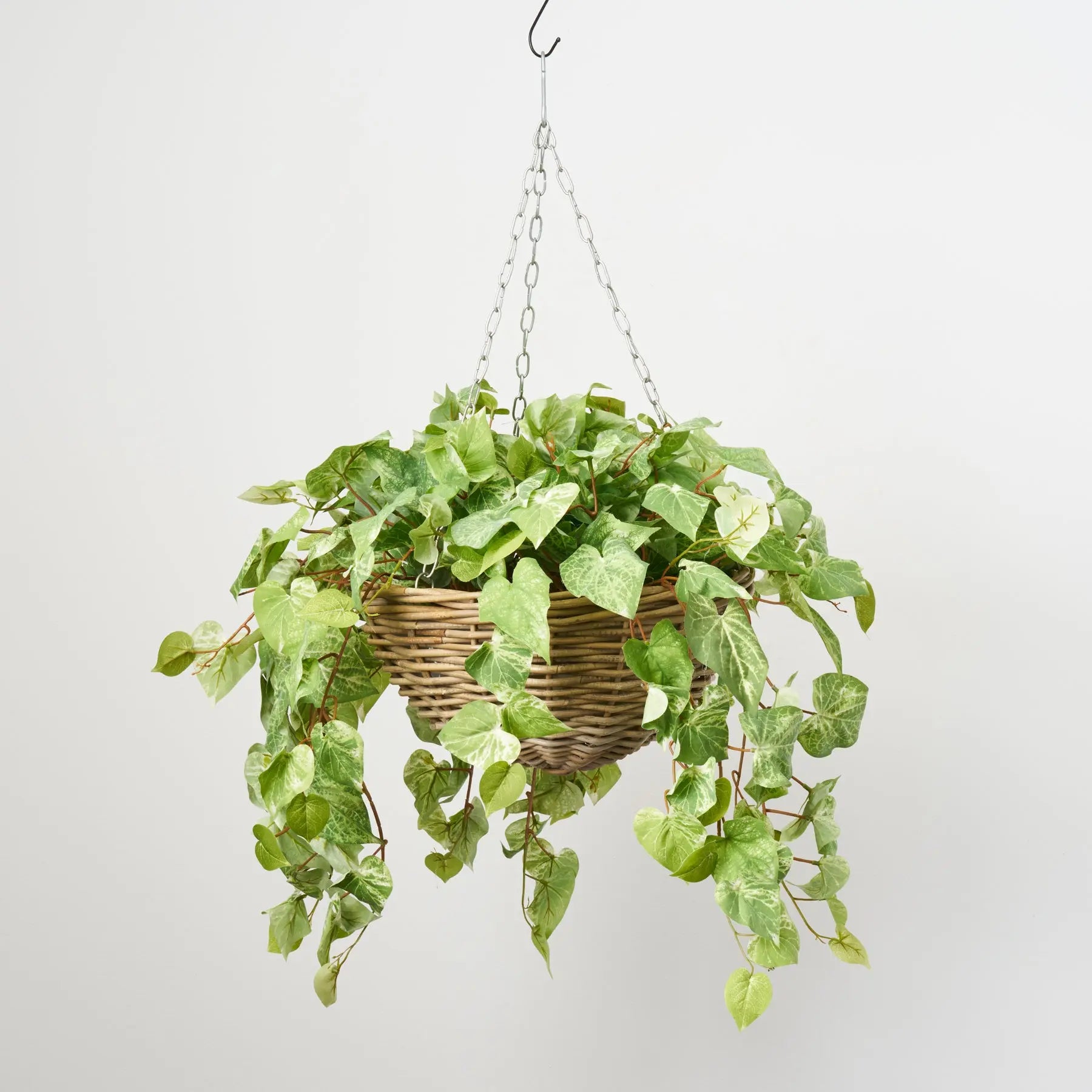 indoor plants hanging baskets All Seasons Bright Green Pothos Leaf Hanging Basket Everyday Faux – Darby Creek Trading