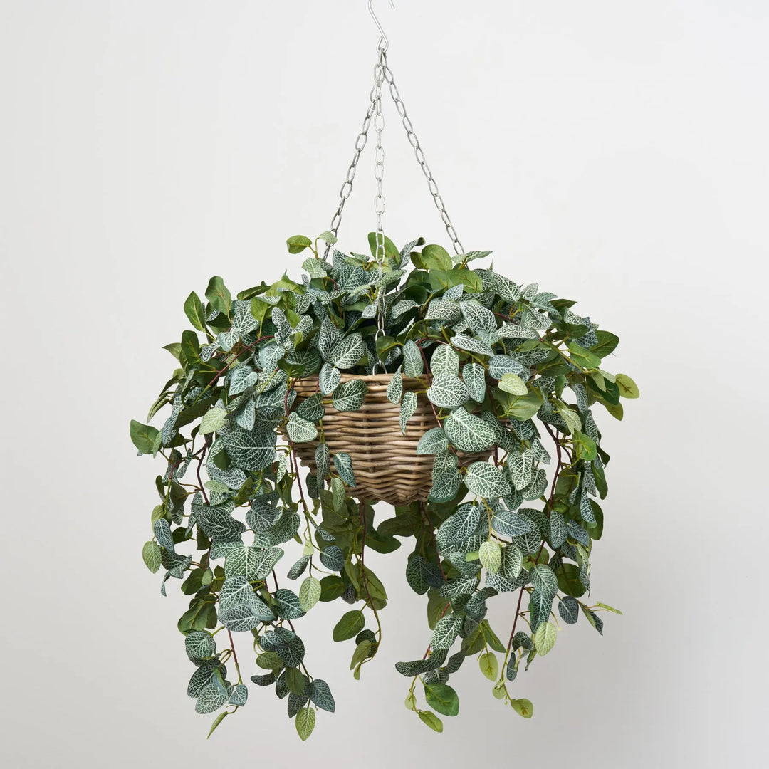 All Seasons Fittonia Leaf Hanging Basket Everyday Faux Greenery
