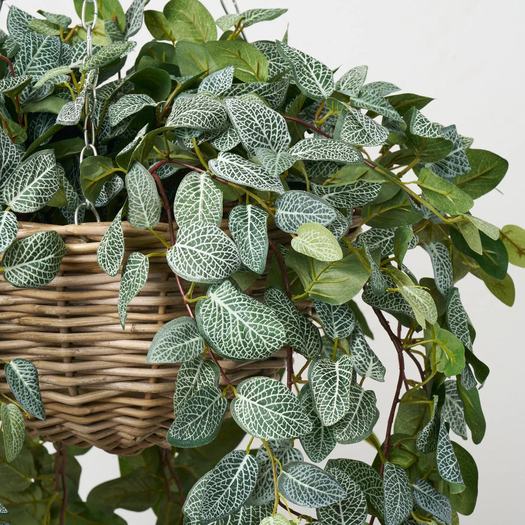 foliage hanging basket plants All Seasons Fittonia Leaf Hanging Basket Everyday Faux Greenery
