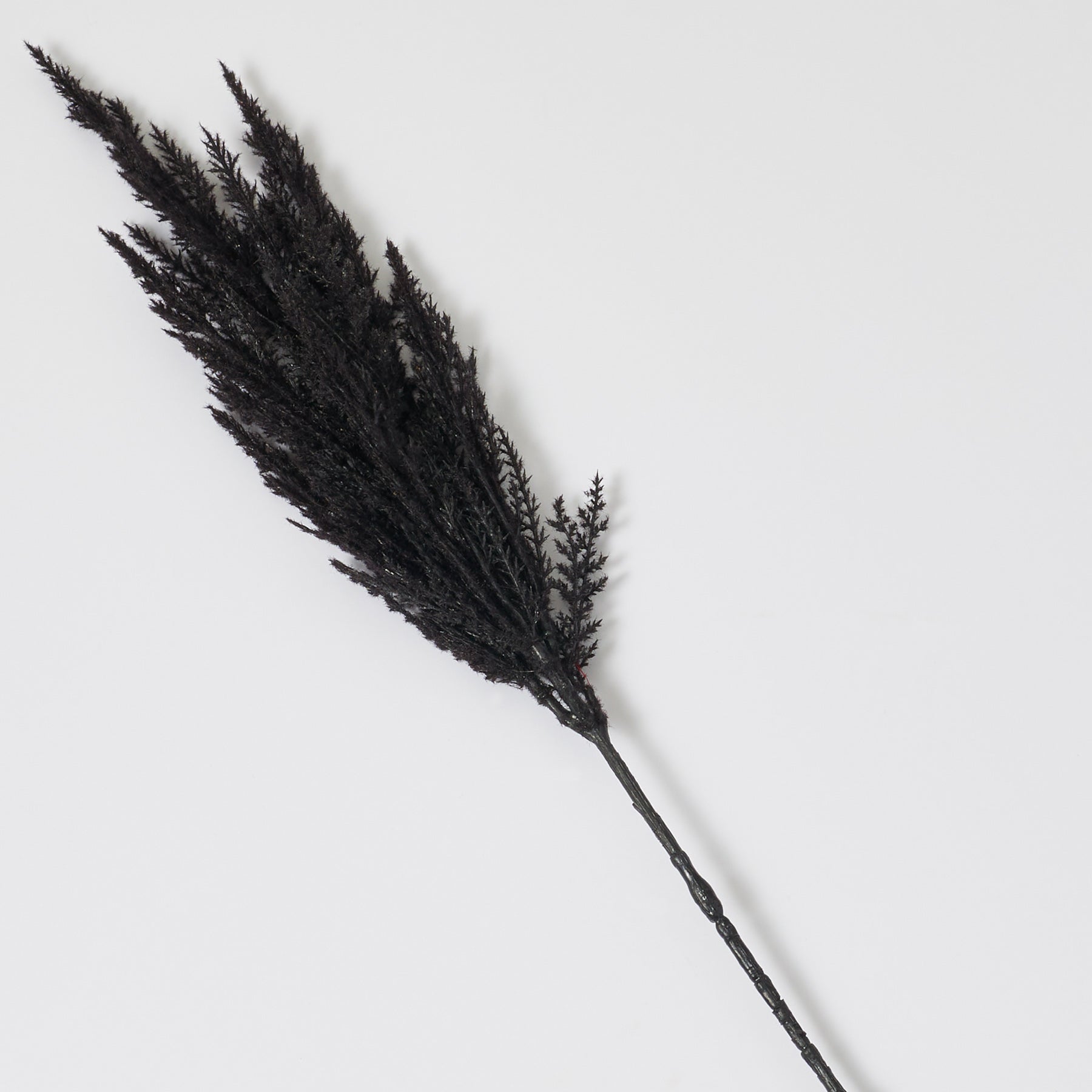 Midnight Black Large Pampas Grass Plume Single Faux Wired Stem