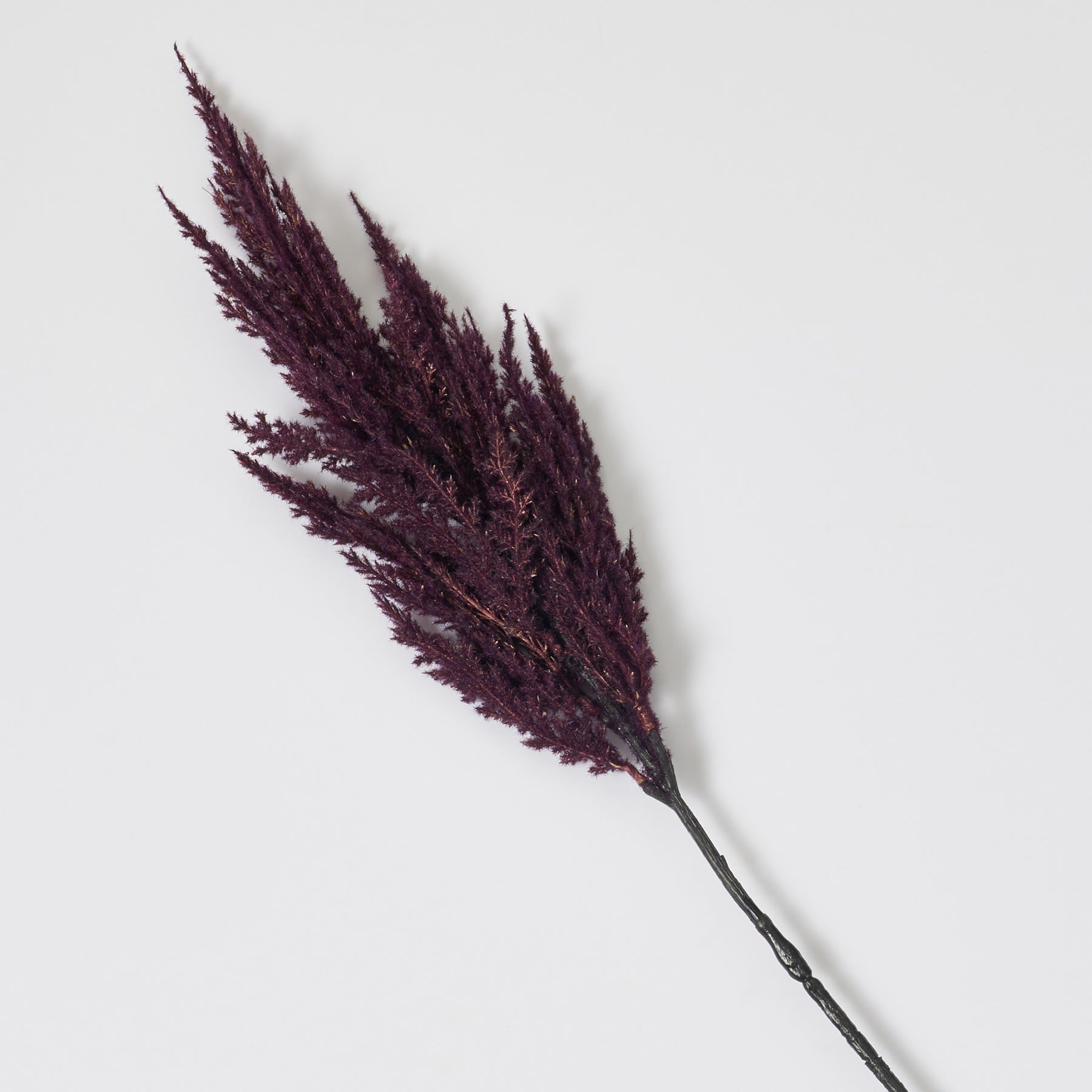 Dark Plum Purple Large Pampas Grass Plume Faux Single Wired Stem