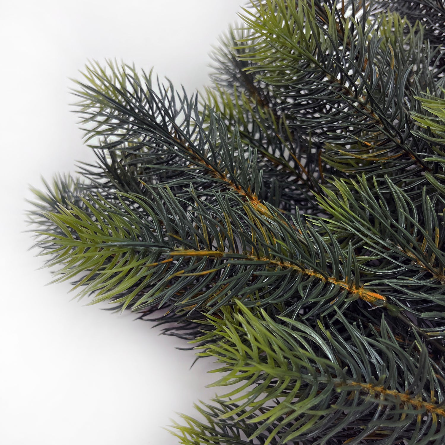 Evergreens & Branches – Darby Creek Trading