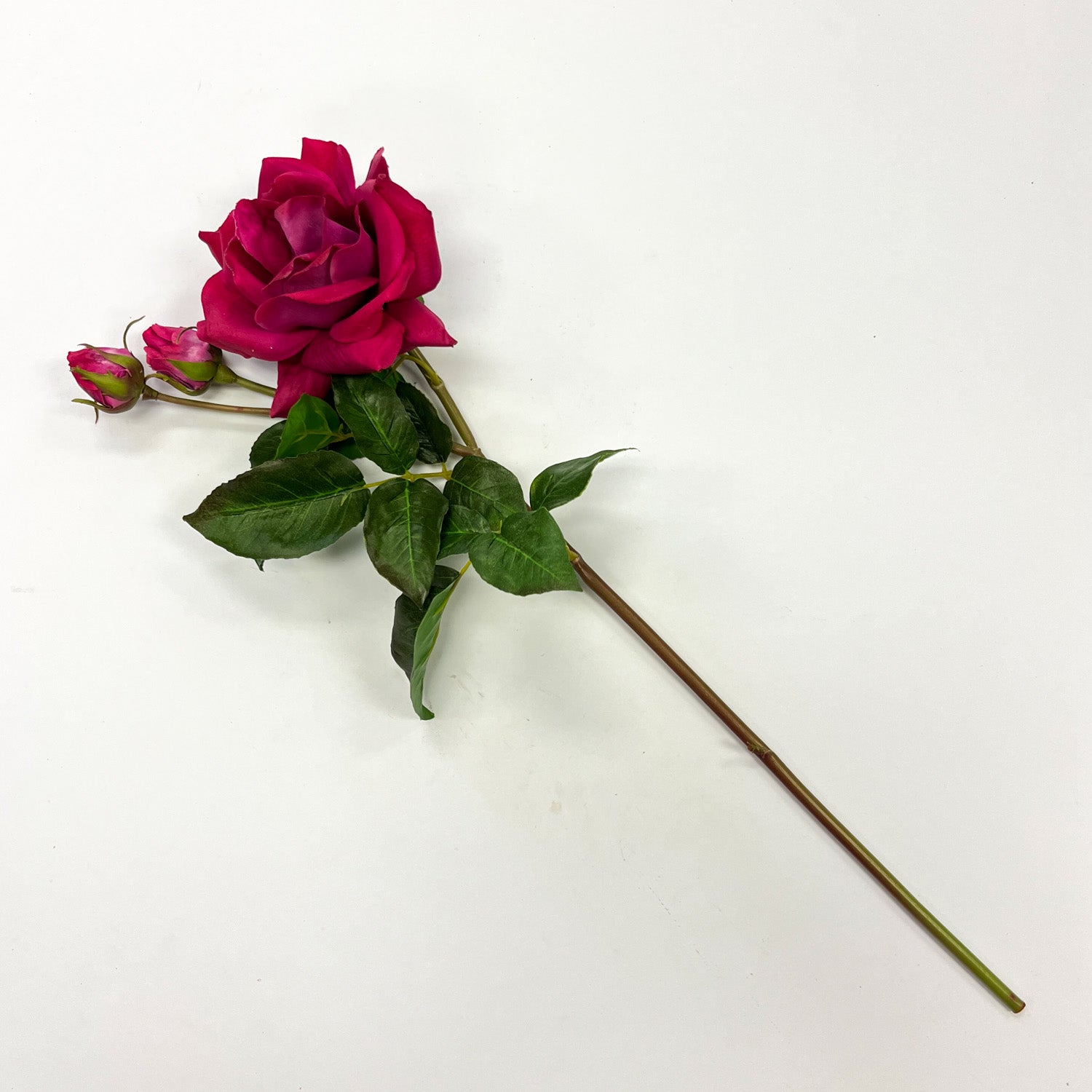 Single Stem Tendril Rose - Luxe Blush – North Wood Blooms