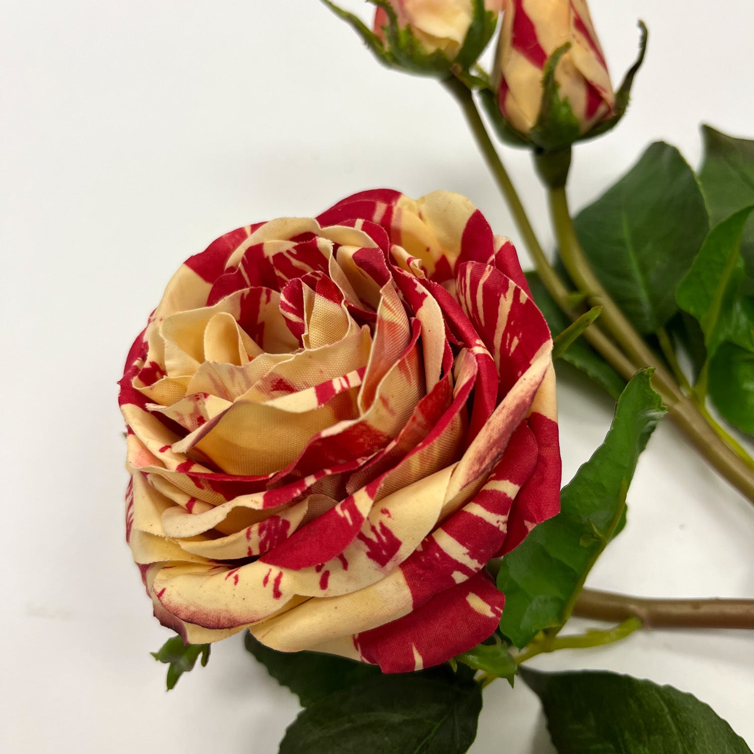 Real Touch Small Red Candy Cane Stripe English Pilgrim Rose Bloom & Bu ...