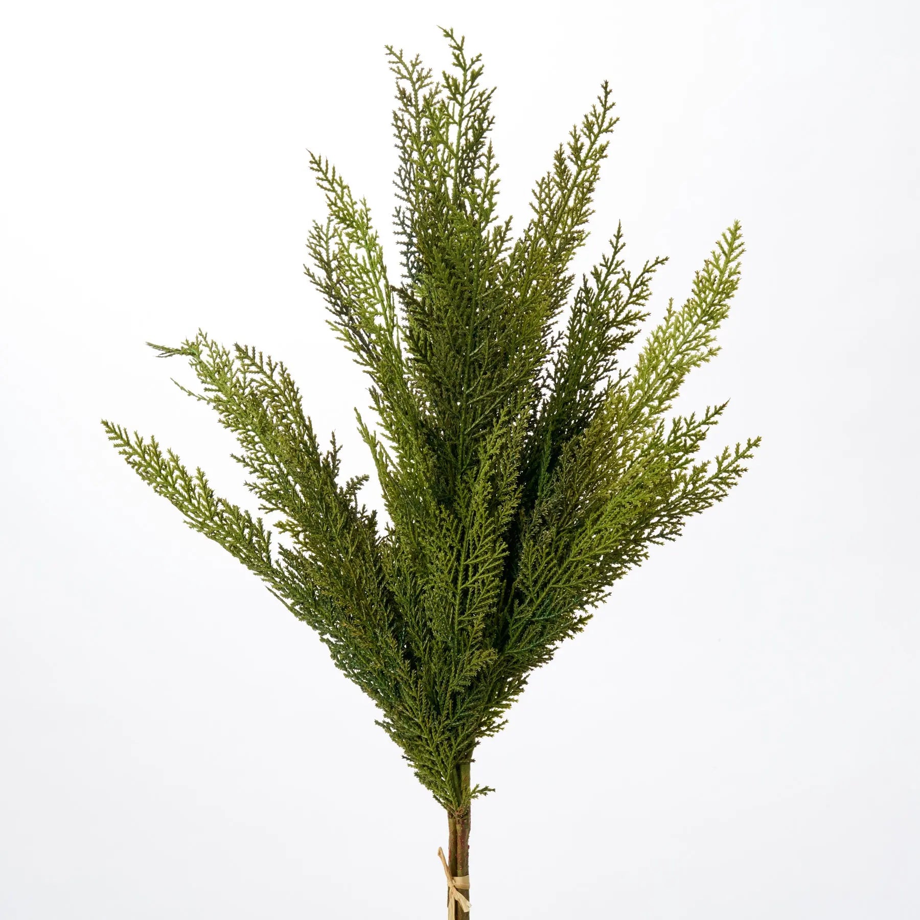 Real Touch Lebanon Cedar Faux Winter Greenery Stem Bundle of 3 - Darby ...