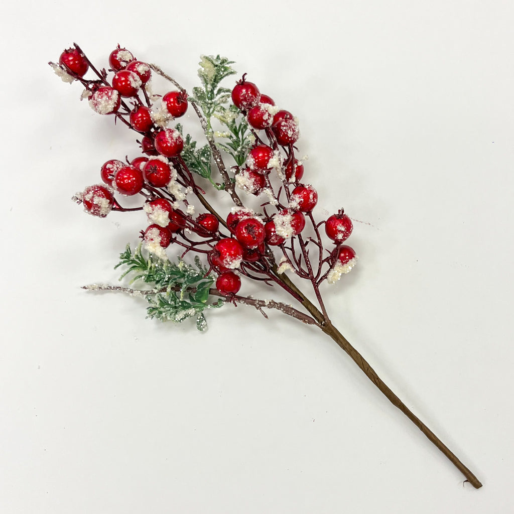 Red Berry Stem with Snow - Kelea's Florals