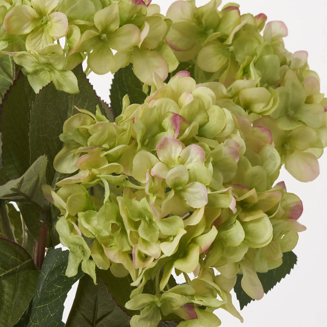 19" Silk Hydrangea Flower Bush -Cream/Green (Pack of 6)