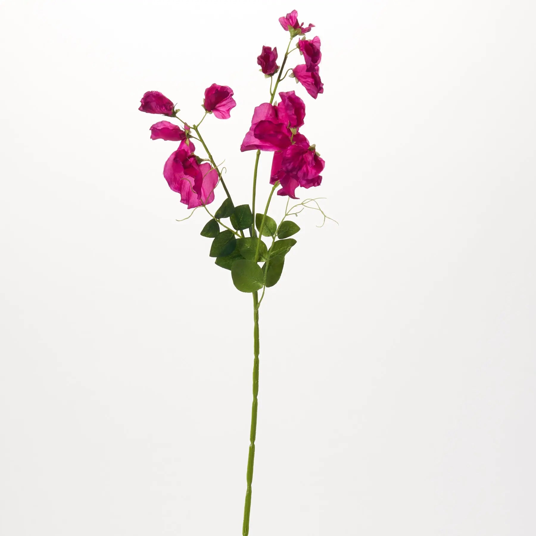 FloristryWarehouse Sweetpea Fiori Artificiali Ciliegia E Rosa - 4 Steli Da 40 Cm Con Filo Interno