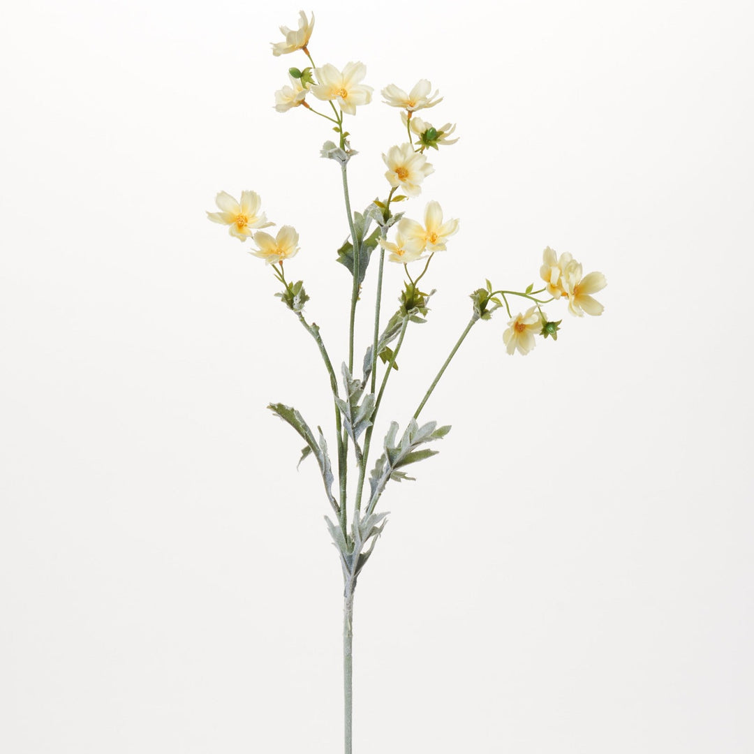 【WONDER WONDER】Kiving SeeThrough UNeck Cosmos Flower L/S T FLWSTM1370Yellow_WhiteWildflow