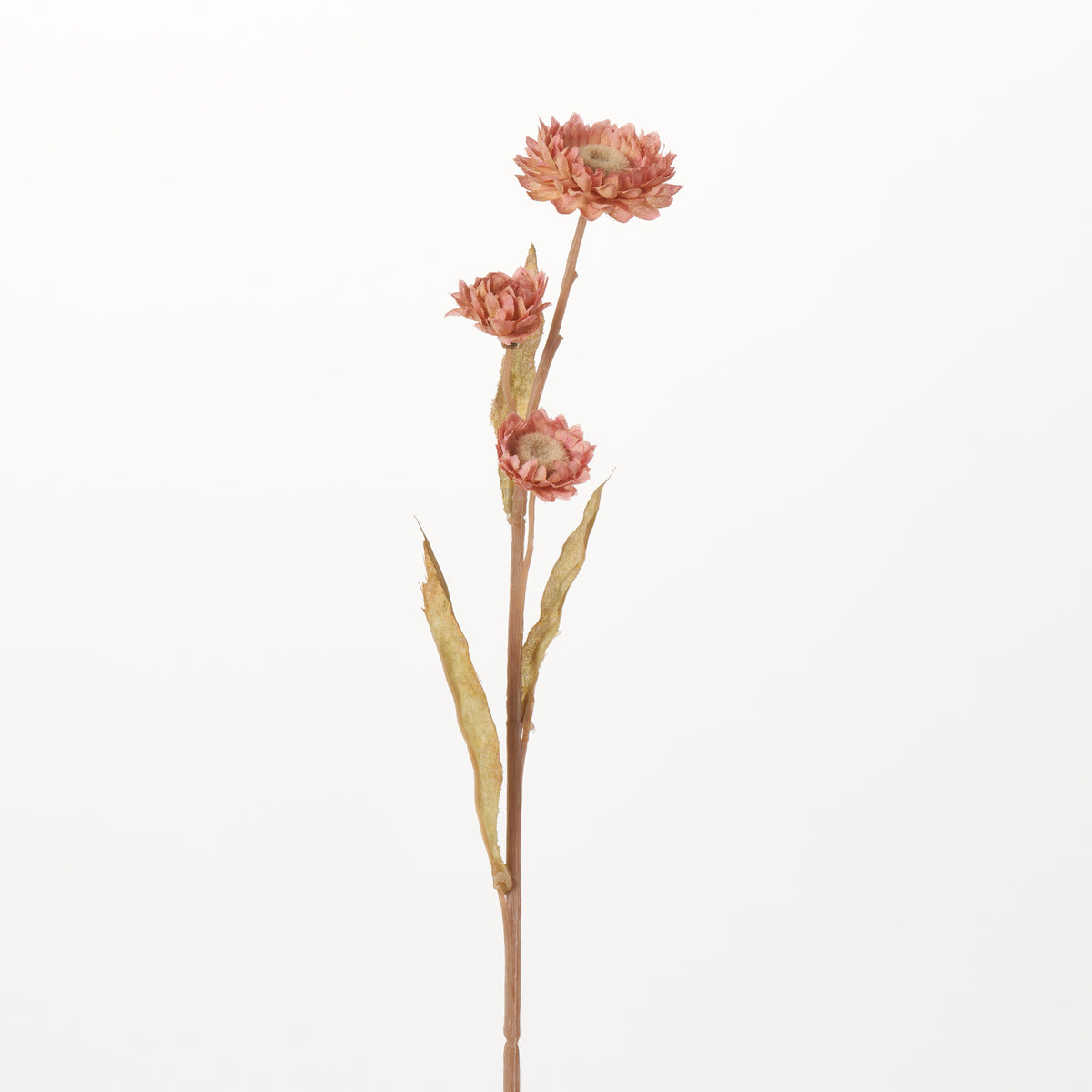 Blush Pink Silk Marigold Calendula Blooms Single Stem Floral Spray - 2 ...