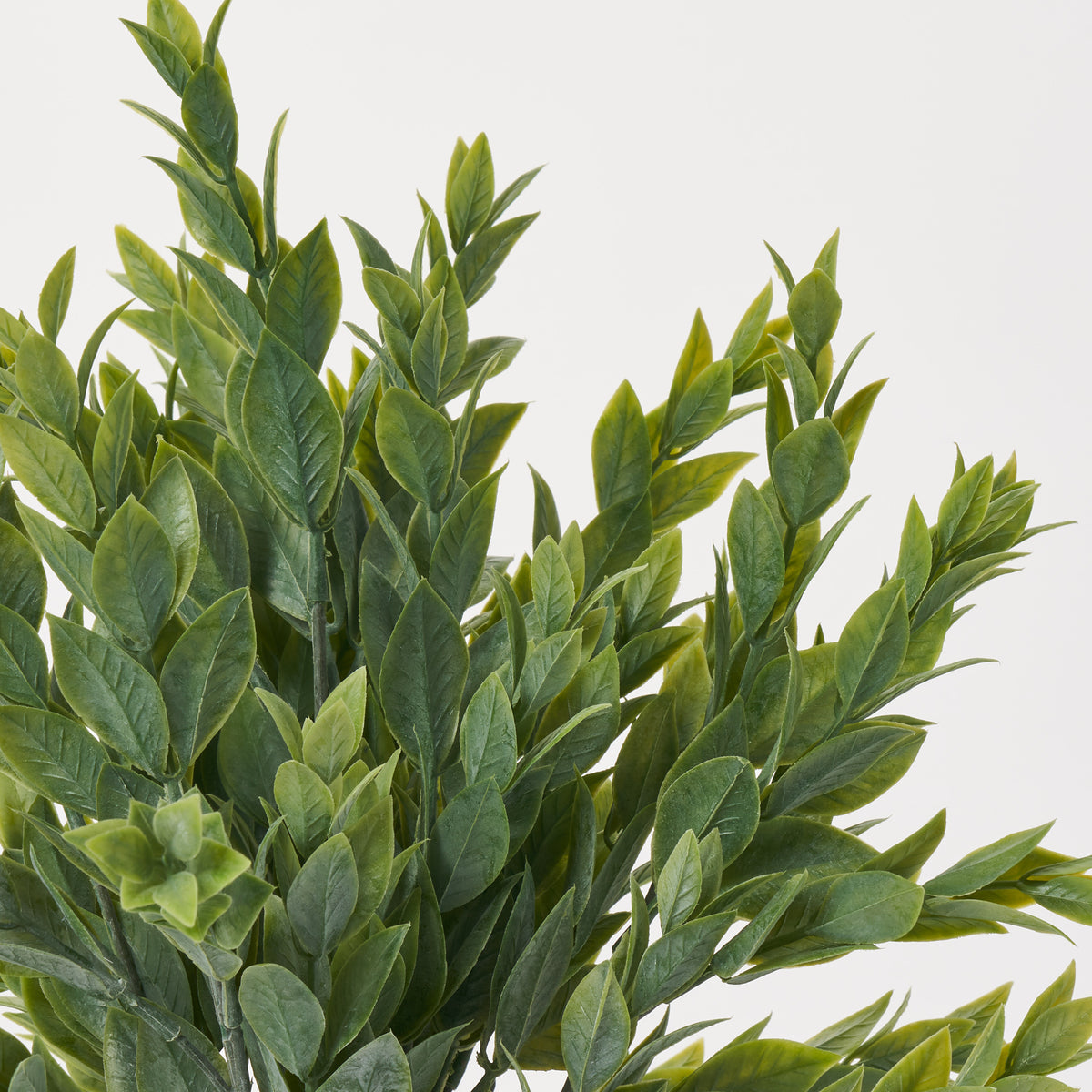 Dusty Green Faux Ruscus Leaf Bush Foliage Spray - 15