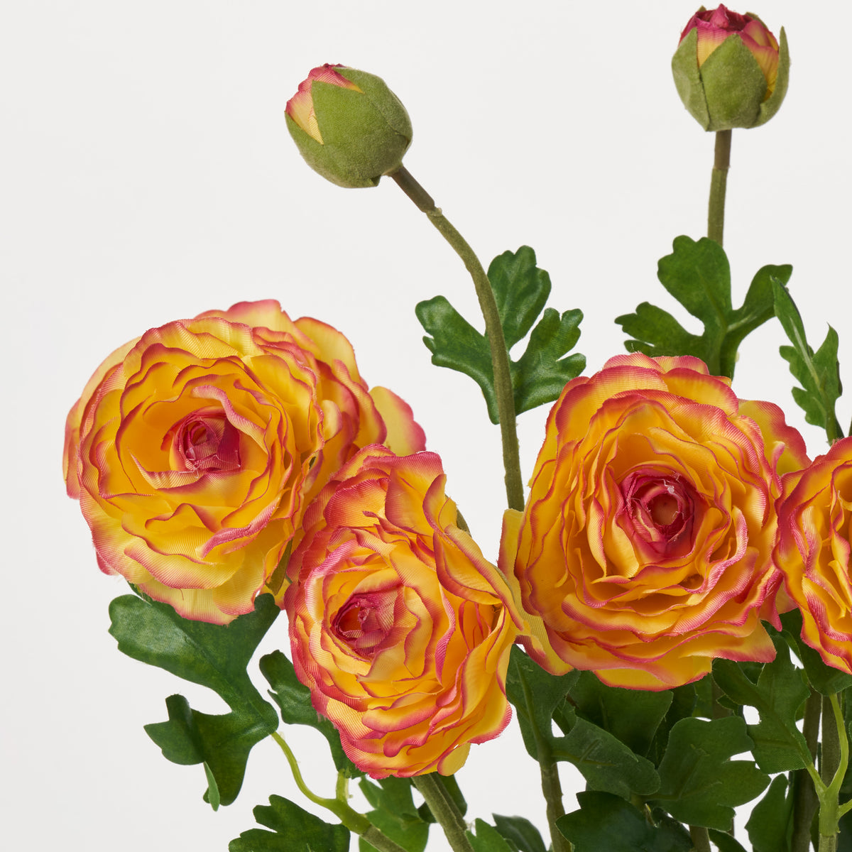 Blooming Two-Tone Yellow & Pink Persian Buttercup Ranunculus Bush Faux ...