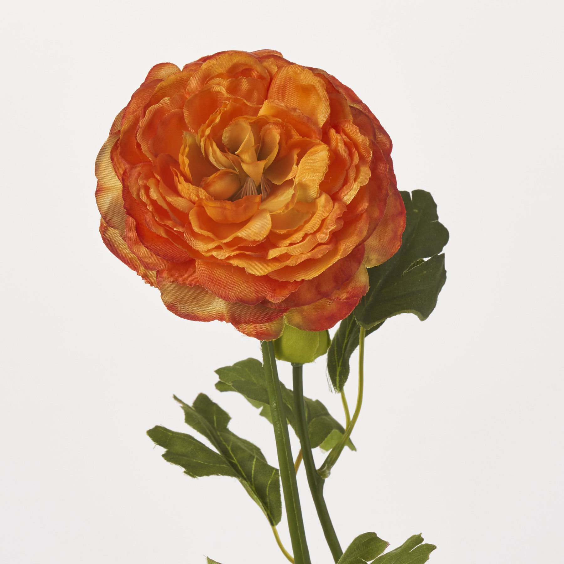 Orange Silk Ranunculus Bloom & Bud Faux Floral Stem Spray - 21