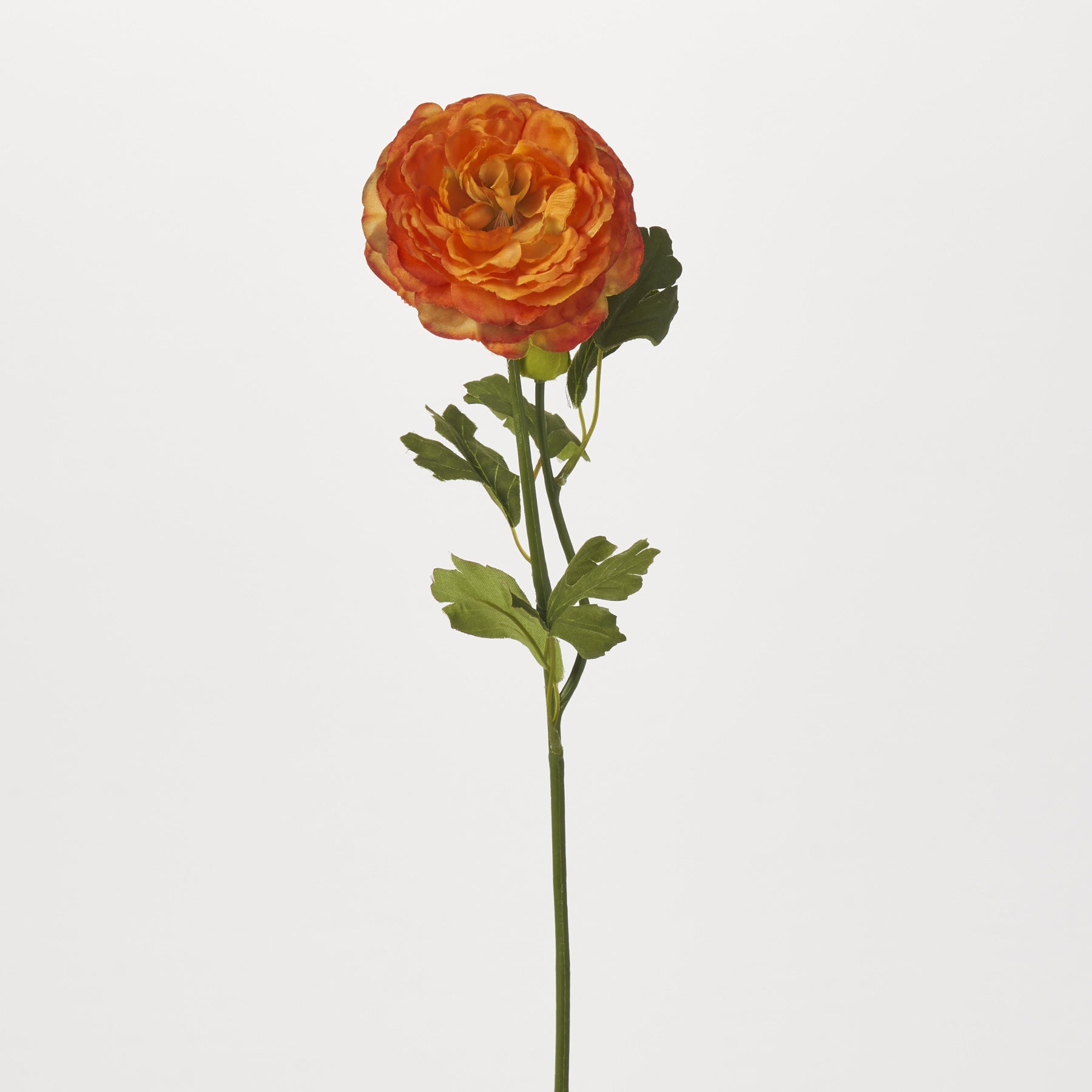 Orange Silk Ranunculus Bloom & Bud Faux Floral Stem Spray - 21