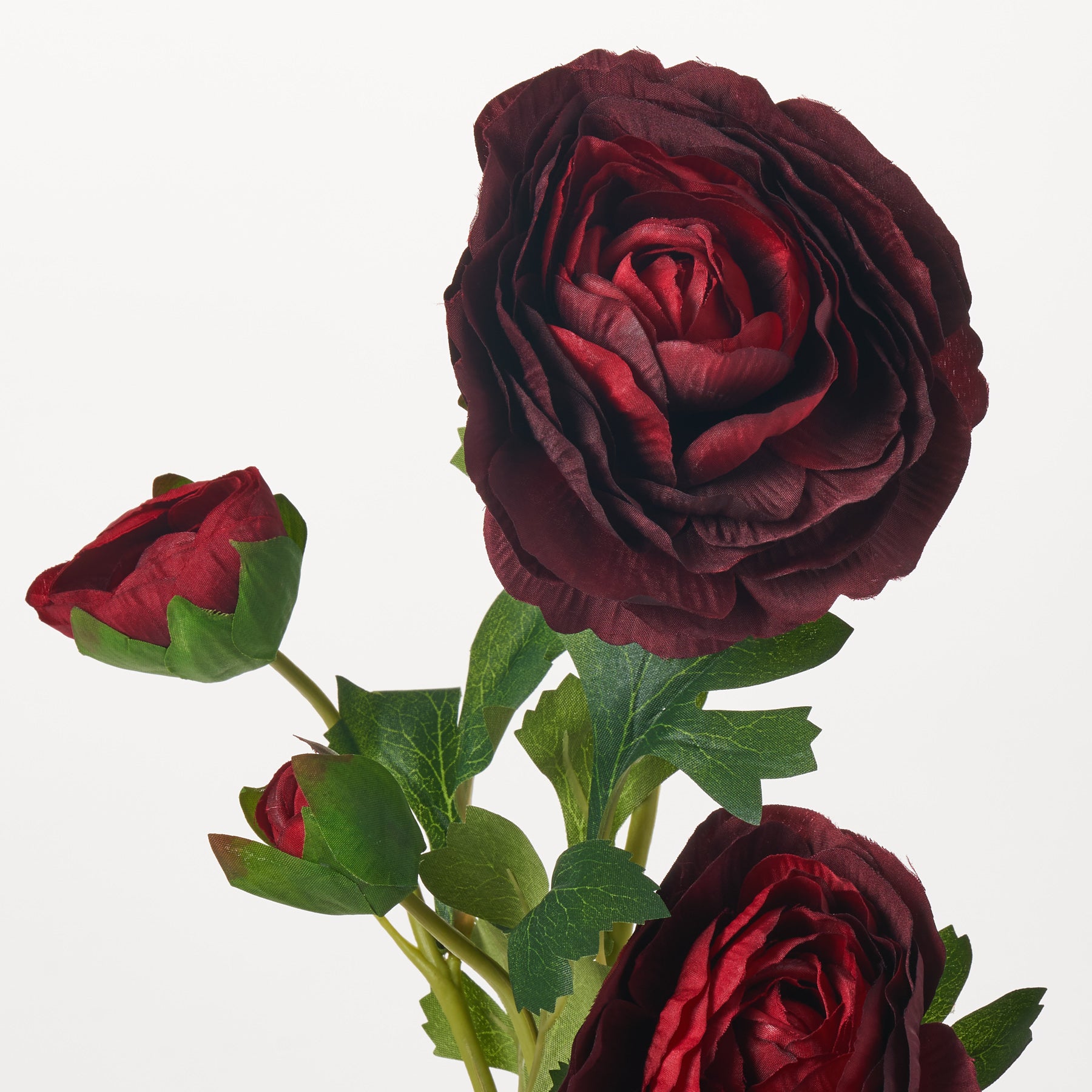 Jumbo Burgundy Red Ranunculus Bloom & Bud Faux Floral Stem - 26 ...