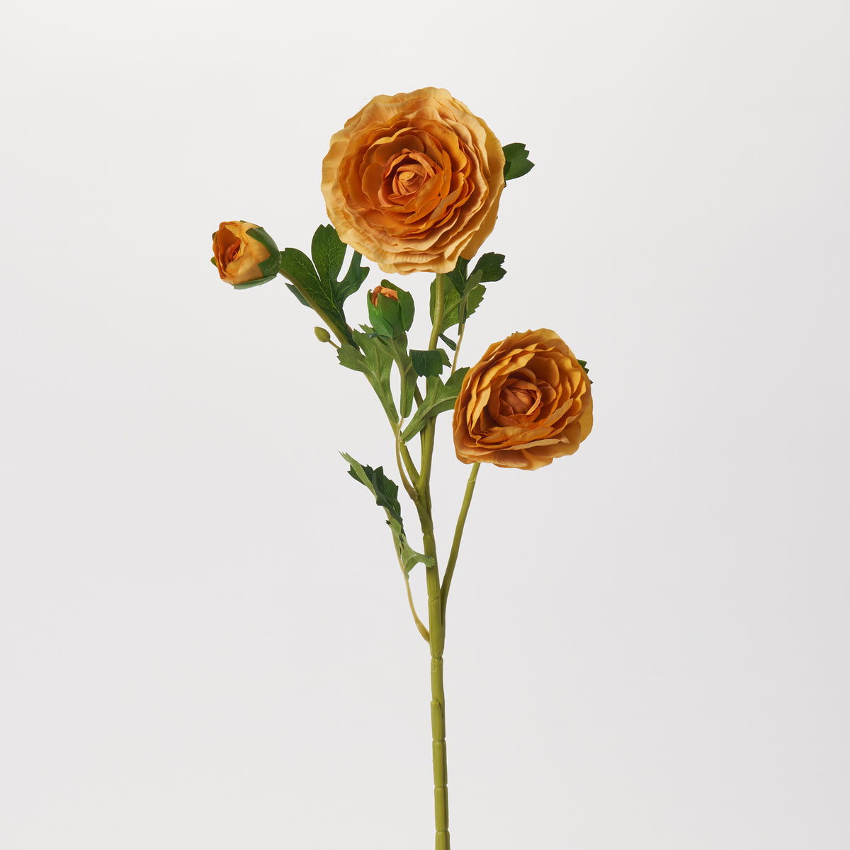Jumbo Golden Yellow Ranunculus Bloom & Bud Faux Floral Stem - 26 ...