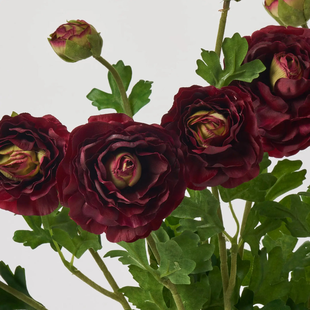 Blooming Dark Burgundy Persian Buttercup Ranunculus Bush Faux Floral