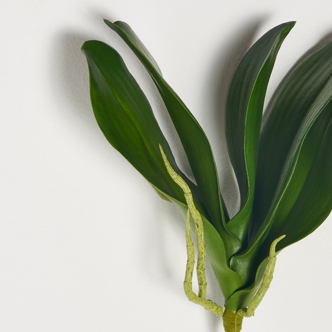 Lifelike Phalaenopsis Orchid Leaf Spray Faux Everyday Greenery