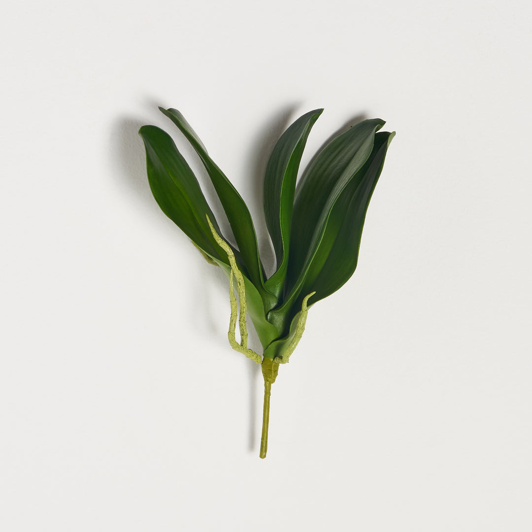 FLWSTM1810LifelikePhalaenopsis