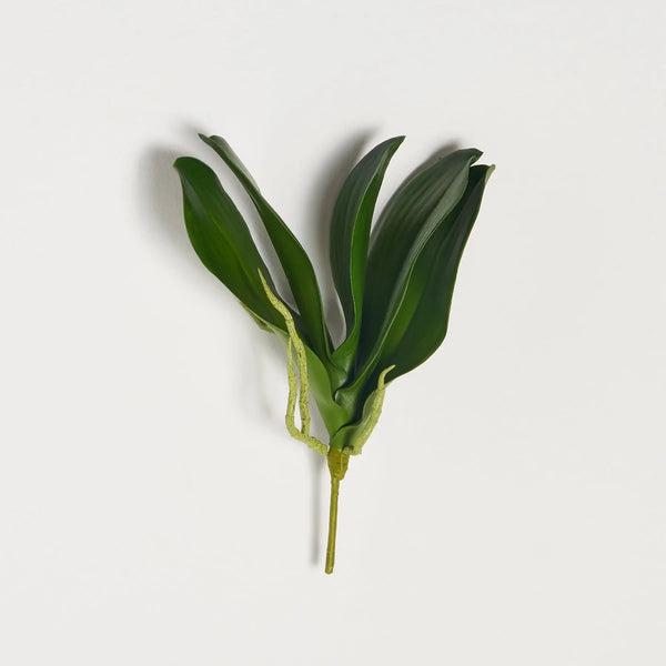 Lifelike Phalaenopsis Orchid Leaf Spray Faux Everyday Greenery
