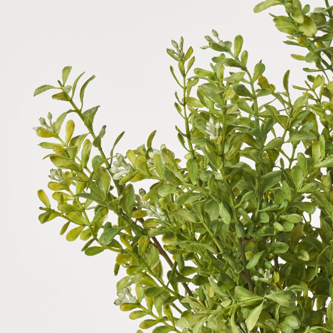 bushdebrunt brunt 3HANDRED エッジパッド 25オリーブ Flowering Moss Green Boxwood Bush Faux Evergreen Shrub Spray - 17